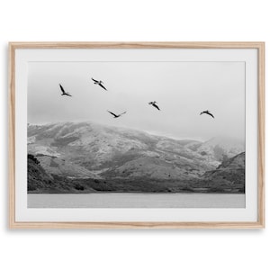 May include: A black and white photograph of five pelicans flying over a mountain range with a lake in the foreground.