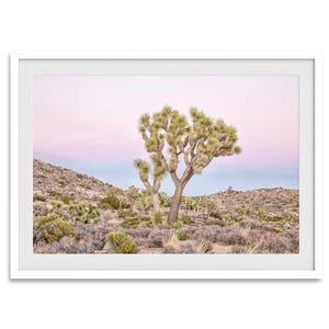Joshua Tree Pink Sunset Fine Art Print - California Desert Photography ...