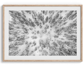 Fine Art Snowy Forest Print - Aerial Winter Forest Wall Decor, Winter Wall Art Framed Black and White Nature Photography Print Home Decor