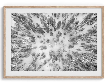 Fine Art Snowy Forest Print - Aerial Winter Forest Wall Decor, Winter Wall Art Framed Black and White Nature Photography Print Home Decor