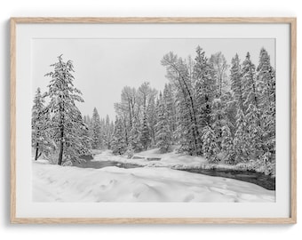 Snowy Forest Fine Art Print - Winter Forest Wall Decor, Winter Wall Art Framed or Unframed Black and White Fine Art Nature Photography Print