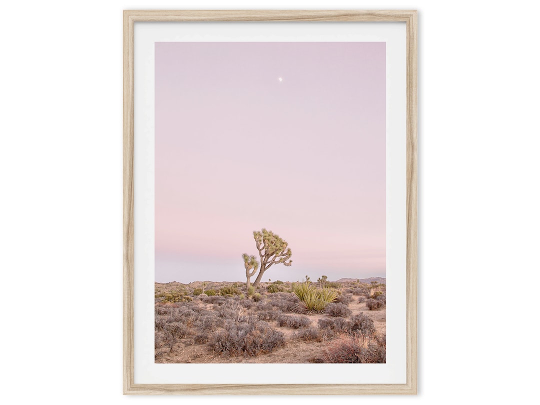 Pink Sunset Joshua Tree Fine Art Photography Print - California Desert ...