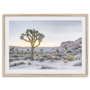 Joshua Tree Fine Art Desert Print - Joshua Tree National Park Poster, Framed California Desert Sunset Wall Art for Home Decor