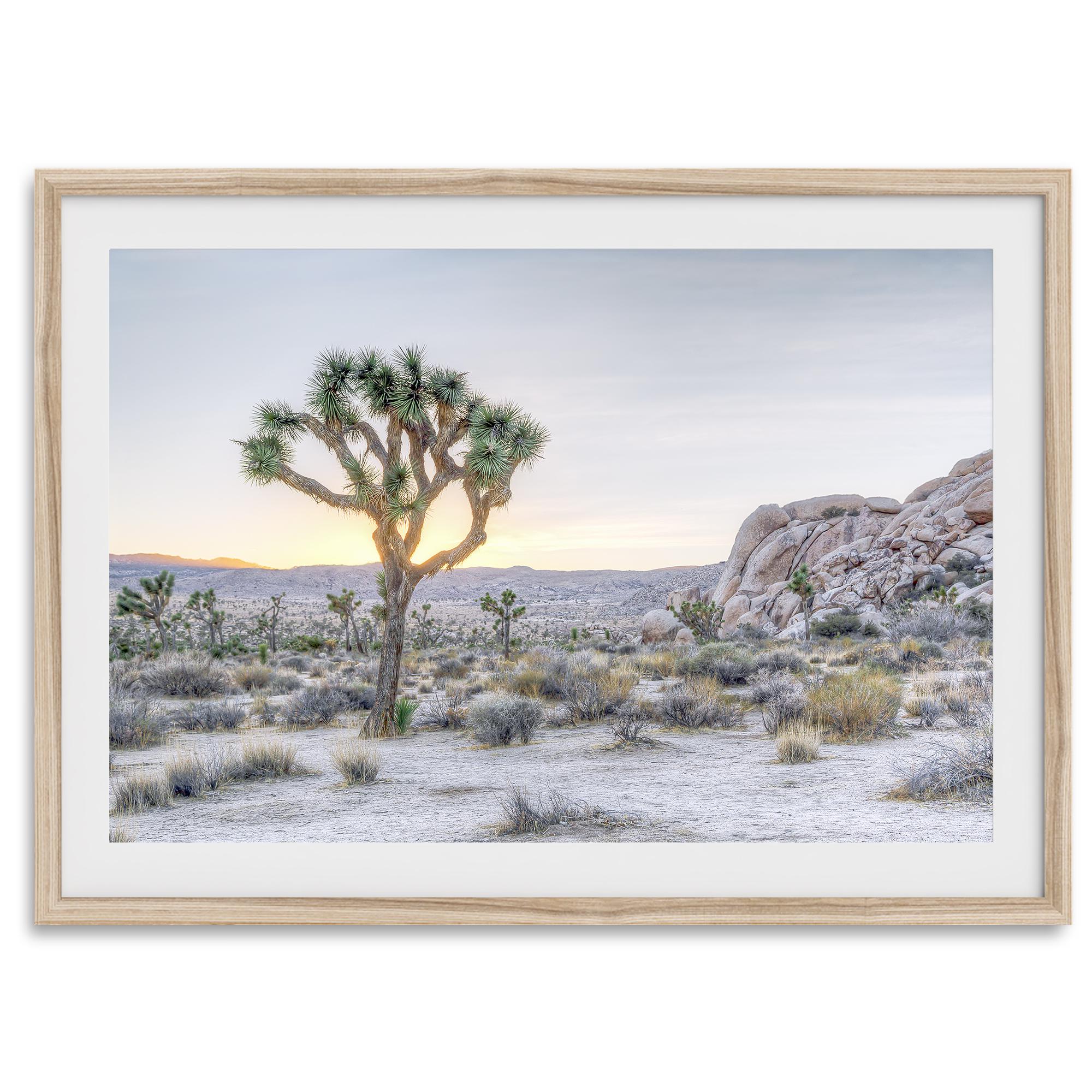 Joshua Tree Fine Art Desert Print - Joshua Tree National Park Poster, Framed California Desert Sunset Wall Art for Home Decor