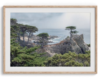 Lone Cypress Tree Fine Art Print - Monterey Cypress Tree Wall Art, Ocean Landscape Photography, California Coastal Decor, Framed PNW Art