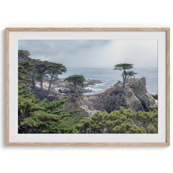 Lone Cypress Tree Fine Art Print - Monterey Cypress Tree Wall Art, Ocean Landscape Photography, California Coastal Decor, Framed PNW Art