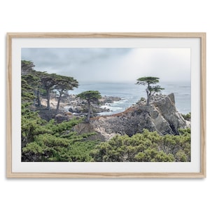 Lone Cypress Tree Fine Art Photography Print - Monterey Cypress Tree Wall Art,  California Coastal Ocean Decor, Framed PNW Landscape Art