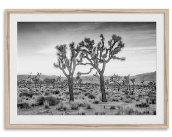 Fine Art Joshua Tree Black and White Photography Print - Two Joshua Trees Sunset Wall Art, Framed Desert Wall Art for Home or Office Decor