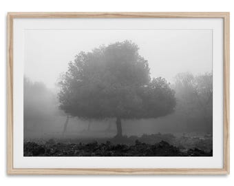 Foggy Forest Print: Minimalist Black and White Landscape Photography