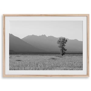 Einsamer Baum in Grand Teton Fine Art Fotografie Druck - Western Wall Art, gerahmt oder ungerahmt schwarz weiß Natur Poster für Wohnkultur