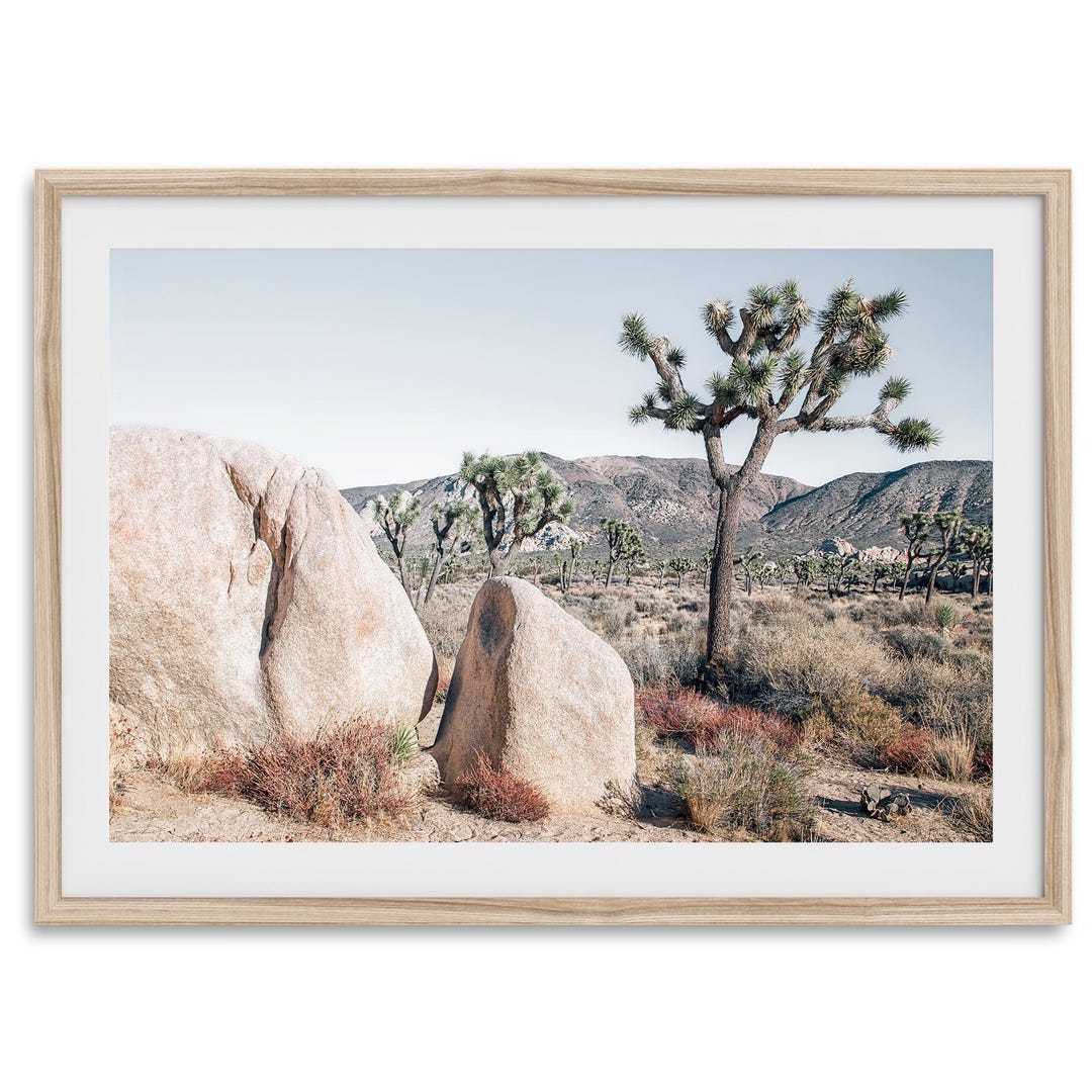 Retro Joshua Tree Fine Art Photography Print - California Desert ...