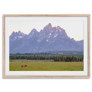 Bergpferdedruck - Grand Teton Nationalpark Kunst, großes Bergwandbild, gerahmtes oder ungerahmtes Americana Western-Dekor, Pferdeplakat