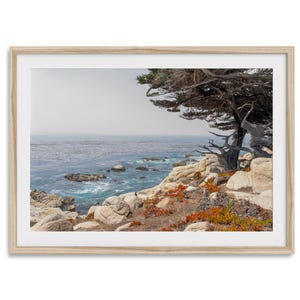 Ocean Baum in Kalifornien Fine Art Fotografie Druck - Küstenbaum Monterey Druck, gerahmt oder ungerahmt Strand Wand Kunst Poster für Wohnkultur