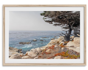 May include: A framed landscape print featuring a coastal scene. The image showcases a rugged shoreline with rocky cliffs, the ocean, and a windswept tree. The color palette includes shades of blue, gray, and brown, with pops of red from the vegetation.