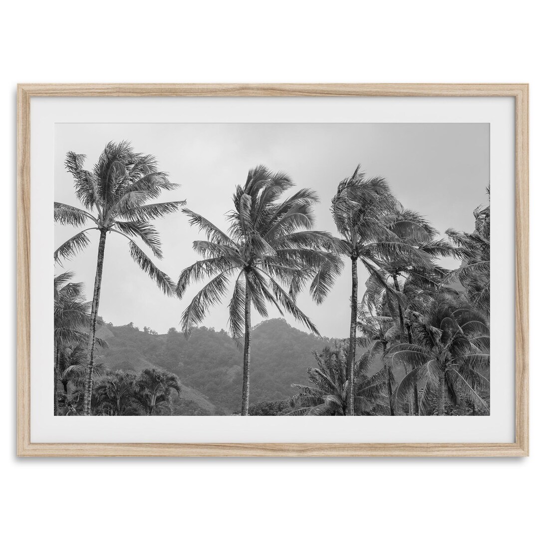 Tropical Beach Fine Art Photography Print - Palm Tree Wall Art, Large ...