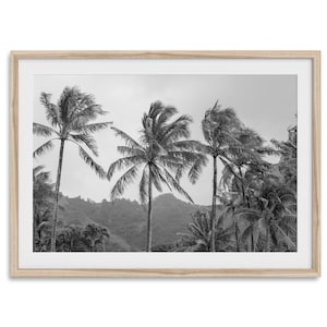 Schwarzweißer Tropischer Strand Fine Art Fotografie Druck - Großes Hawaii Palmen Strand Wand Kunst gerahmtes oder ungerahmtes Poster für Wohnkultur