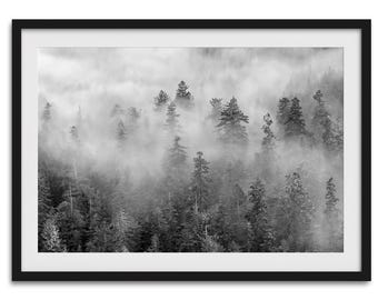 Misty Forest Print: Black and White Pine Tree Photography, Nature Wall Art