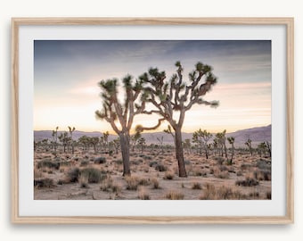 Joshua Trees "Holding Hands" Fine Art Photography Print - Joshua Tree Sunset Wall Art, Framed or Unframed Desert Wall Art for Home Decor