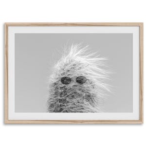 Cooler Kaktus Fine Art Fotografie Druck - Americana Desert Wandkunst, gerahmt oder ungerahmt Großes Funky California Nature Poster für die Inneneinrichtung