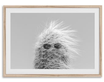 Cool Cactus Fine Art Photography Print - Americana Desert Wall Art,  Framed or Unframed Large Funky California Nature Poster for Home Decor