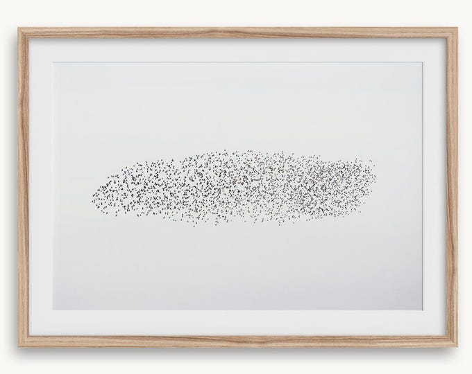 Bird Flock Fine Art Photography Print - Large Minimalist Starling Murmuration Wall Art, Framed or Unframed Wildlife Poster for Home Decor