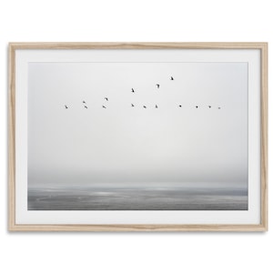 Minimalistischer Ozean Fine Art Fotografie Druck - Pacific Northwest Kunstwerk, Vogel Wandkunst Kalifornien Poster für gerahmte oder ungerahmte Dekoration