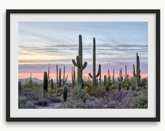 Saguaro Sunset Fine Art Photography Print - Southwest Desert Wall Art, Framed or Unframed Cactus Art Print for Home Decor