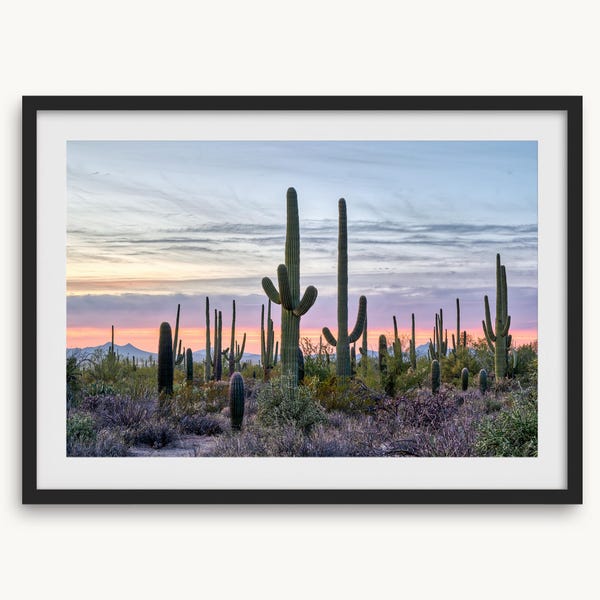 Fotografia artística de pôr do sol com cactos saguaro - Impressão de arte para parede com tema do deserto do sudoeste americano, emoldurada ou sem moldura, ideal para decoração de casa.