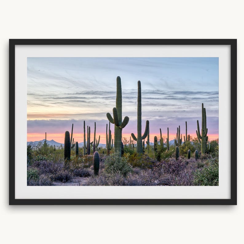 Saguaro Sunset Fine Art Photography Print - Southwest Desert Wall Art ...