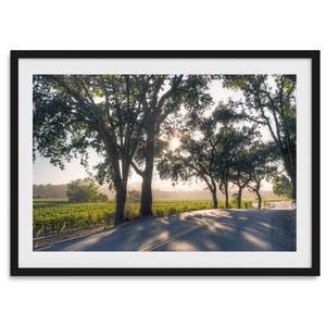 Sonoma Valley Vineyards Fine Art Photography Print - California Wine Country Road Landscape Framed Wall Art for Home or Office Decor