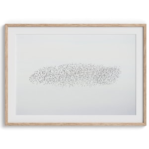 Stampa fotografica artistica di uno stormo di uccelli - Grande arte murale minimalista con mormorio di storno, poster di fauna selvatica con o senza cornice per l'arredamento della casa