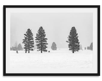 Snowy Pine Tree Print: Black and White Winter Forest Art
