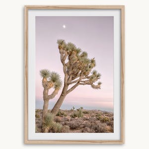 Joshua Tree Pink Sunset Fine Art Photography Print - Extra Large Framed ...
