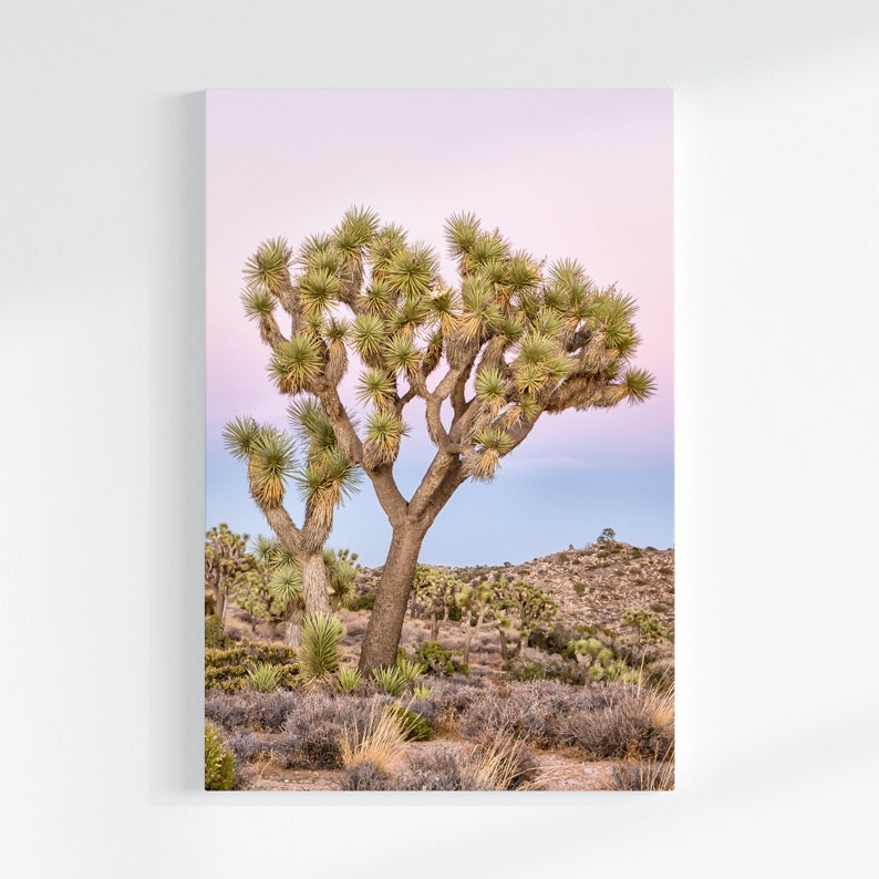 Joshua Tree Canvas Print Set: Pink Desert Photography, Framed Wall Art ...