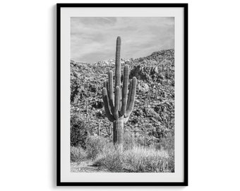 Lámina de cactus saguaro: fotografía retro en blanco y negro del desierto, cuadro para pared.