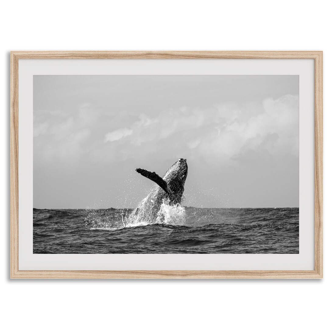 Humpback Whale 額入りポスター il_1080xN.6331687395_78db.jpg