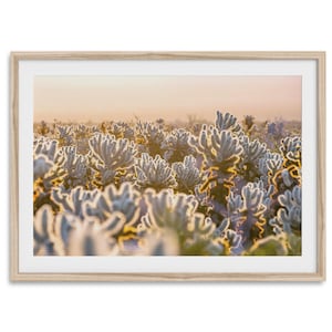 Wüstenkaktus Fine Art Fotografie Druck - Extragroß Joshua Baum Wandkunst, gerahmtes oder ungerahmtes Wüstensonnenuntergang Landschaft Foto für Wohnkultur