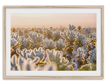 Joshua Tree cactussen zonsondergang Fine Art Photography-print - Californië landschap muurkunst, ingelijste of ingelijste woestijnkunstwerk voor woondecoratie