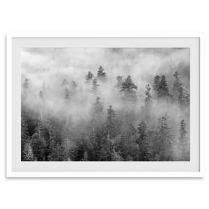 Misty Forest Print: Black and White Pine Tree Photography, Nature Wall Art