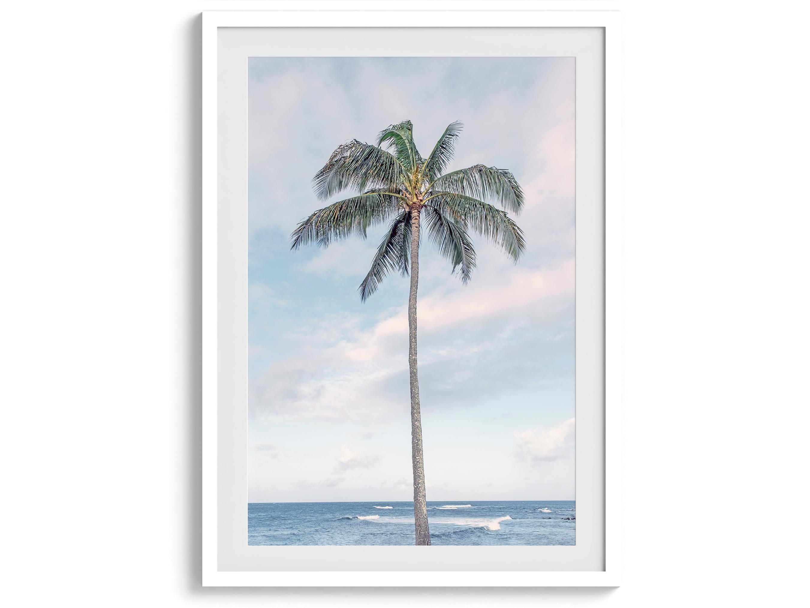 Beach Palm Tree Art Print: Coastal Ocean Photography - Etsy