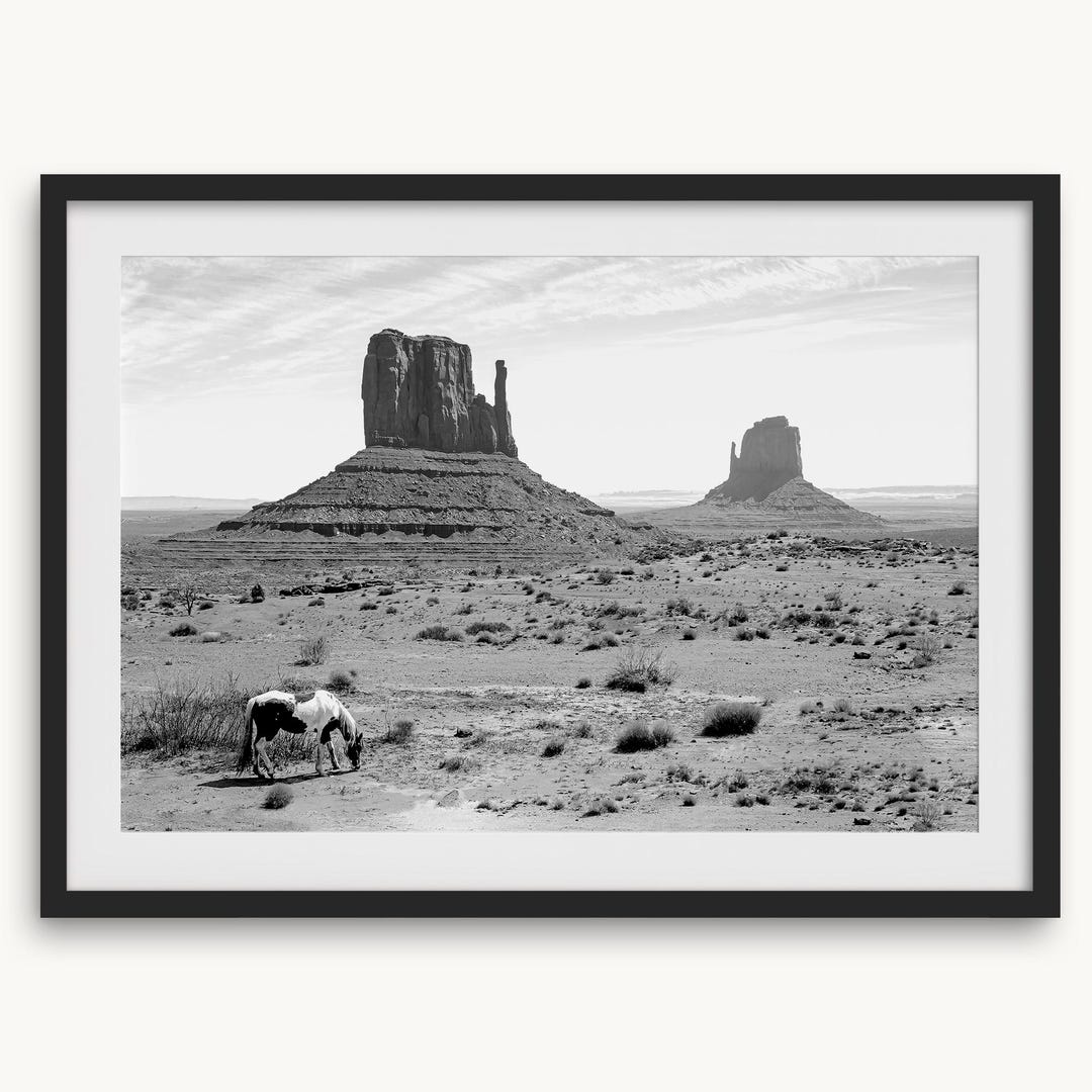 Desert Horse Fine Art Photography Print - Black and White Western Wall ...