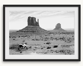 Desert Horse Fine Art Photography-afdruk: zwart-wit kunst aan de westelijke muur, ingelijste Americana Southwest Horse poster voor woondecoratie