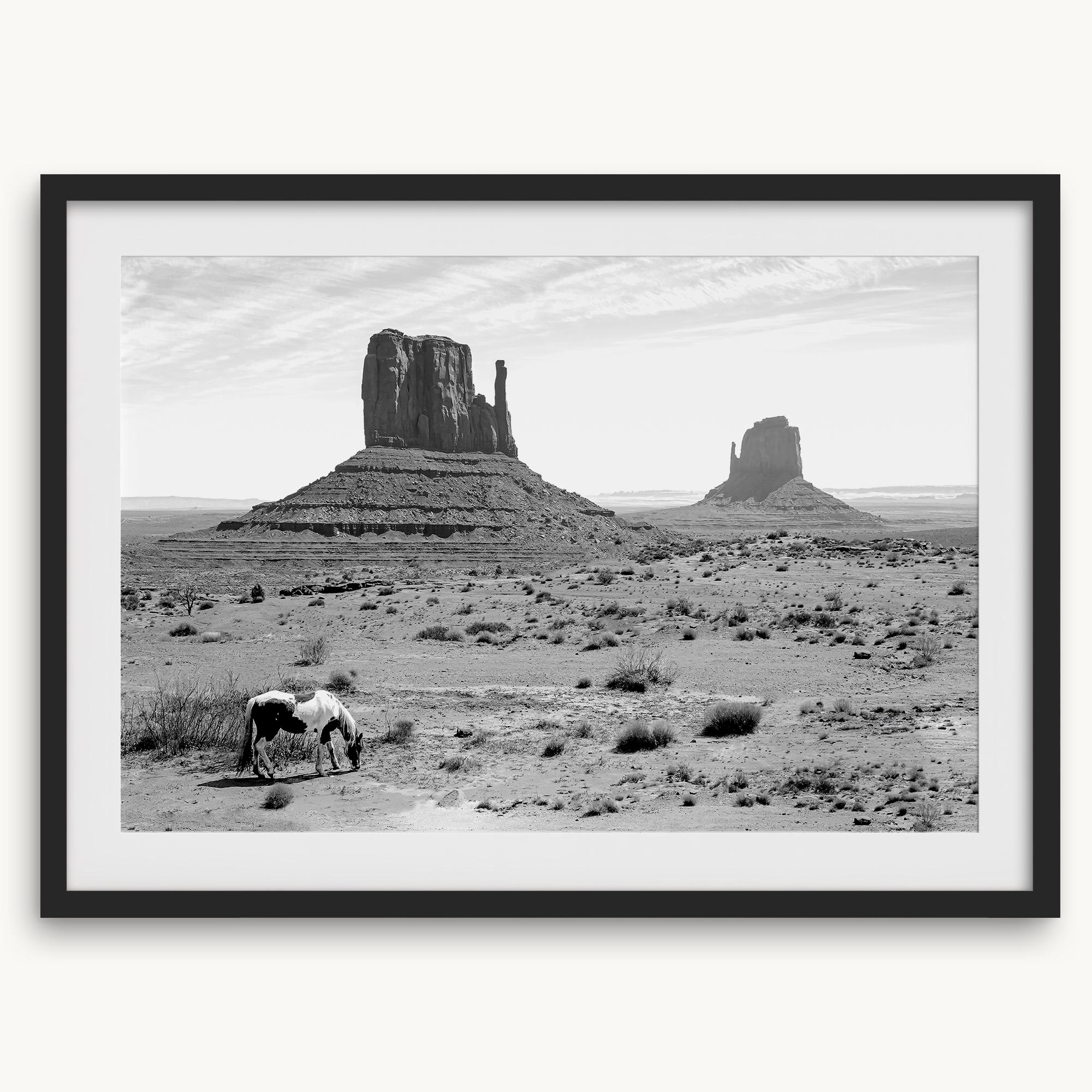 Desert Horse Fine Art Photography Print - Black and White Western Wall ...
