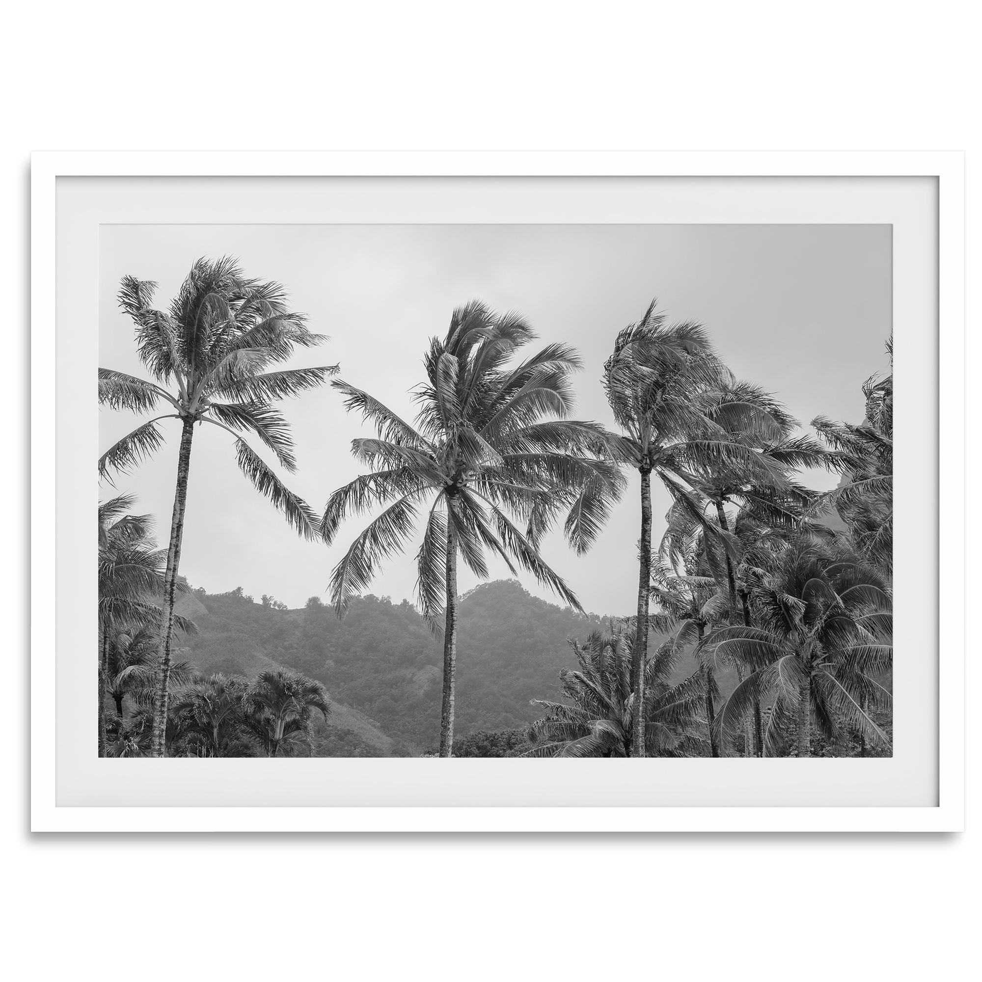 Black and White Tropical Beach Fine Art Photography Print