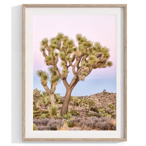 A wall art set of 3 framed or unframed Joshua Tree National Park prints.  This desert wall art showcases a stunning Joshua Tree and the desert terrain and plants in a breathtaking Pink sunset filled with Pink and Purple hues. Modern gallery wall set