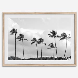 Palmen Fine Art Fotografie Druck - Großes Tropisches Schwarz & Weiß Strand Wand Kunst, gerahmt oder ungerahmt Küsten Reise Poster für Home Decor