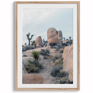 California Desert Fine Art Photography Print - Extra Large Desert Wall Art, Framed or Unframed Joshua Tree Park Poster for Home Decor