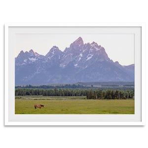 A stunning snow-covered mountain framed or unframed print from Grand Teton National Park with a beautiful horse grazing the grass in the forefront.