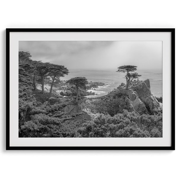Lone Cypress Tree Fine Art Print - Monterey Cypress Tree Wall Art, Black and White Ocean Photography, Framed California Beach Coastal Decor