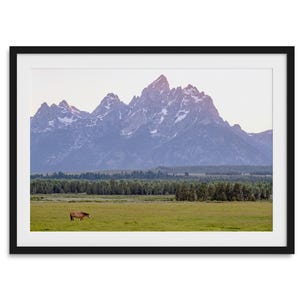 A stunning snow-covered mountain framed or unframed print from Grand Teton National Park with a beautiful horse grazing the grass in the forefront.